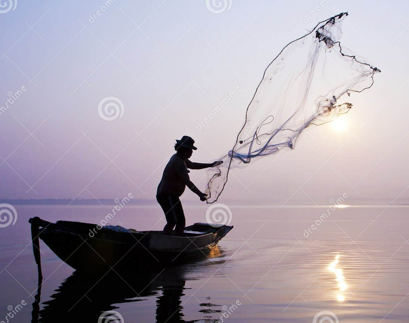 Fish Foodie Club