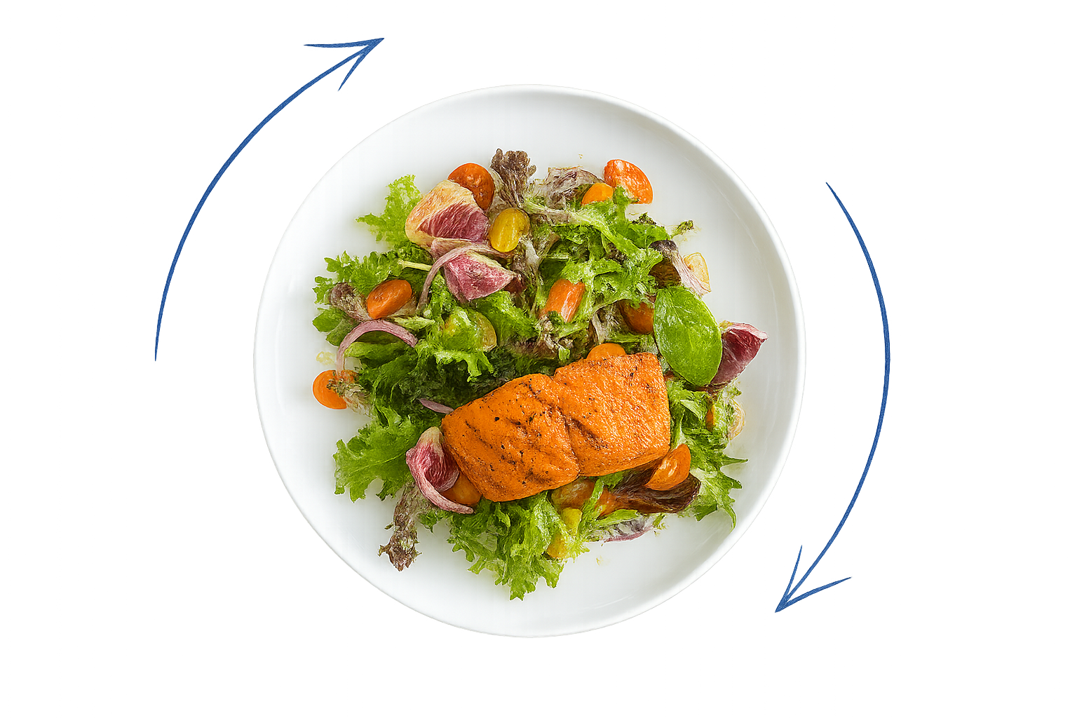 Fish Foodie Club